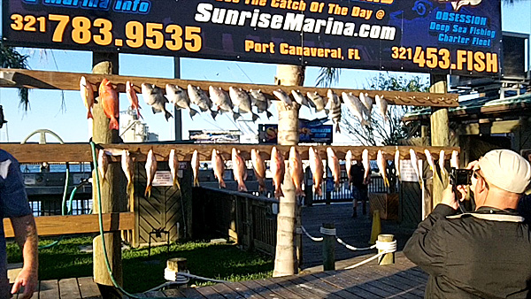 Catch of the Day aboard the Ocean Obsession out of Port Canaveral Florida.